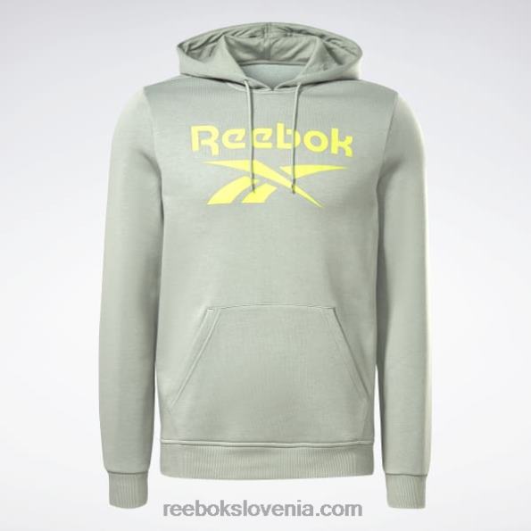 Reebok pulover s kapuco z logotipom iz identičnega flisa R22JR1278 harmonija zelena moški