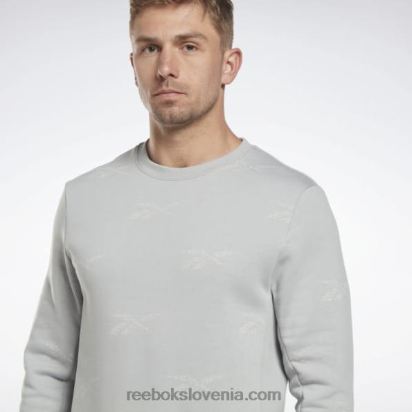 Reebok identity vector pulover iz flisa R22JR1248 čista siva 3 moški