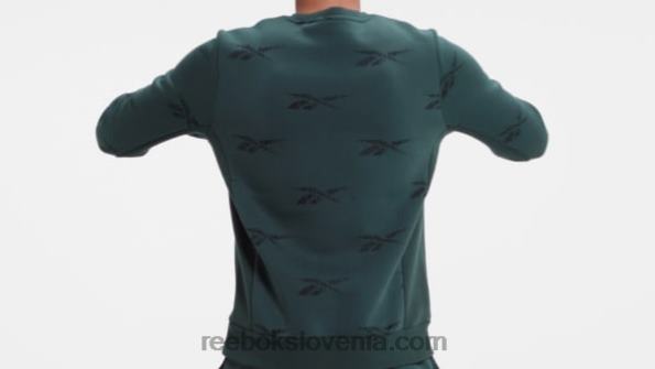 Reebok identity vector pulover iz flisa R22JR1305 gozdno zelena moški