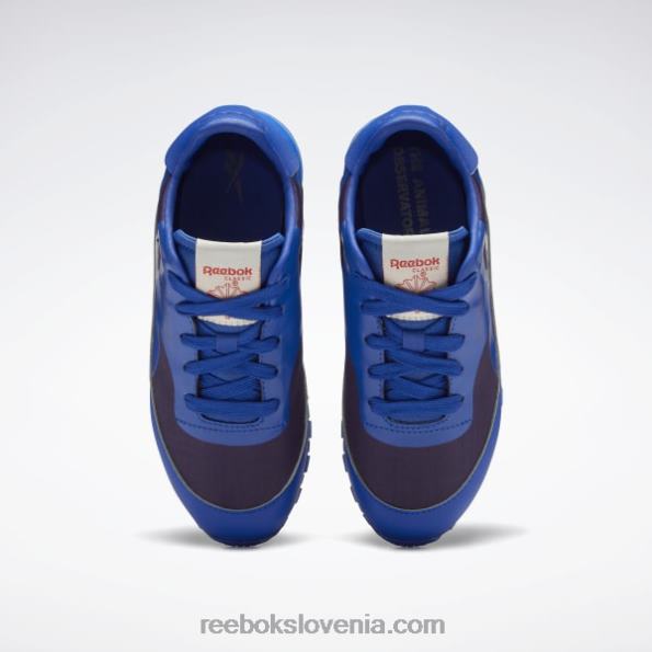 Reebok živalski observatorij klasični usnjeni čevlji - predšolski R22JR1395 kobalt/vijolična spretnosti/sončno kislinsko rumena otroci