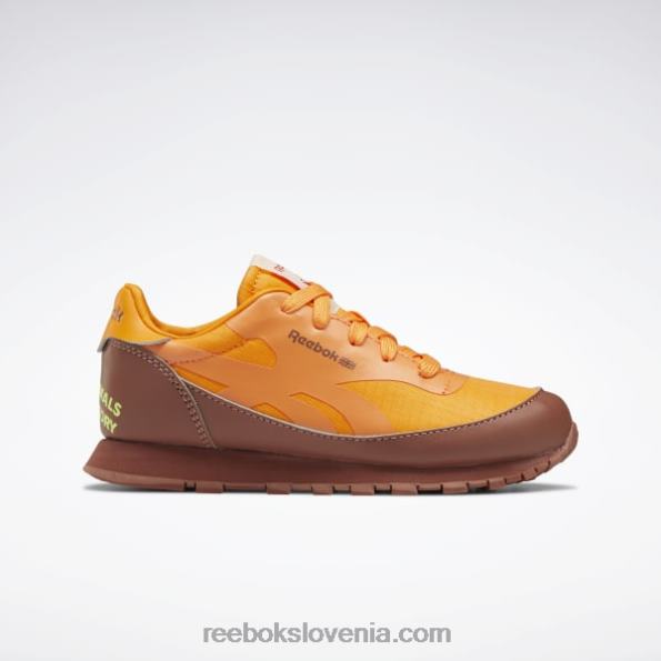 Reebok živalski observatorij klasični usnjeni čevlji - predšolski R22JR1415 balvansko rjava/svetlo oranžna/sončno kislo rumena otroci