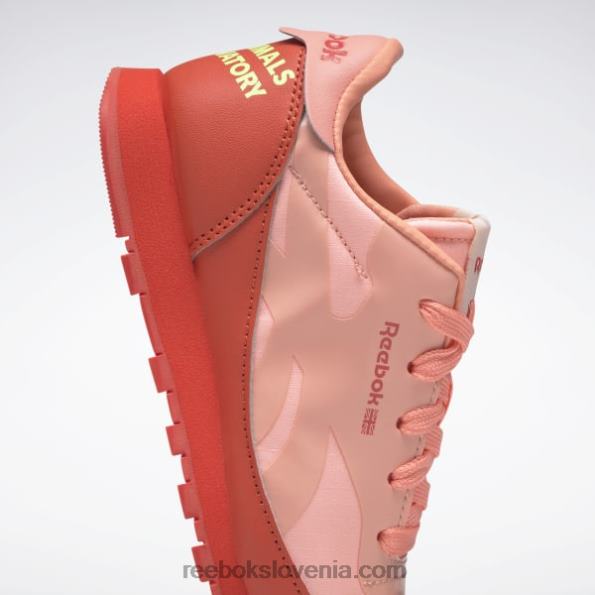 Reebok živalski observatorij klasični usnjeni čevlji - predšolski R22JR1426 dirkalno rdeča/solarno kislinsko rumena otroci