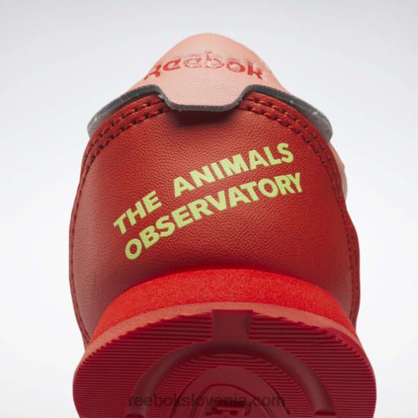 Reebok the animal observatory klasični usnjeni čevlji - malčki R22JR1401 dirkalno rdeča/solarno kislinsko rumena otroci