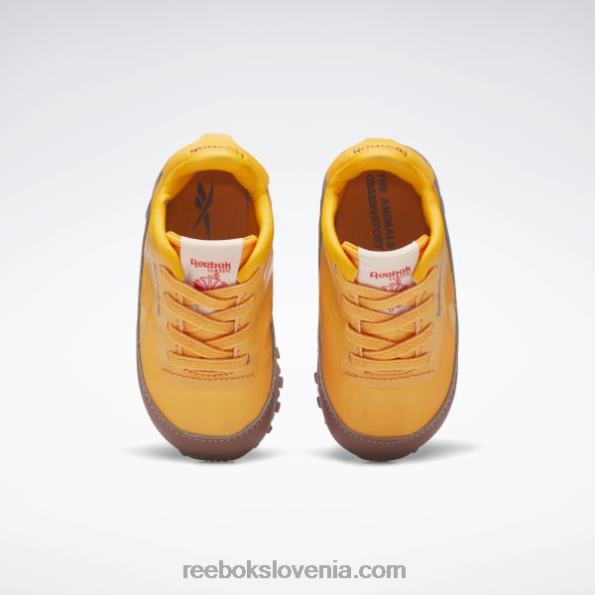 Reebok the animal observatory klasični usnjeni čevlji - malčki R22JR1435 balvansko rjava/svetlo oranžna/sončno kislo rumena otroci