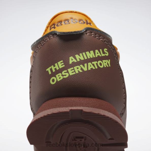 Reebok the animal observatory klasični usnjeni čevlji - malčki R22JR1435 balvansko rjava/svetlo oranžna/sončno kislo rumena otroci